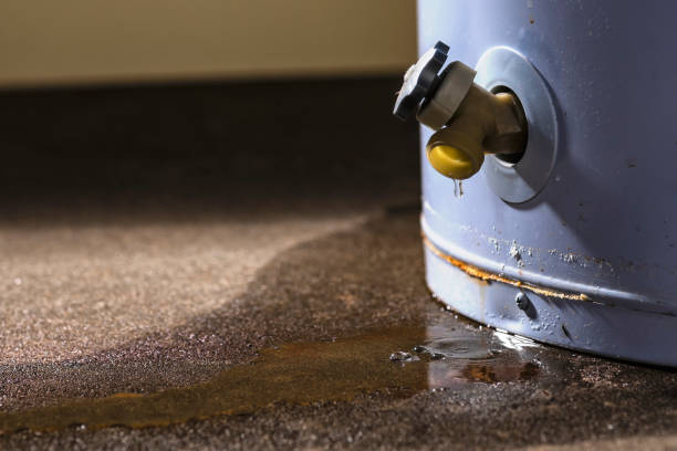 Best Residential water damage restoration  in Newberry, FL
