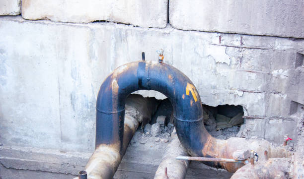 Best Local water damage restoration  in Newberry, FL